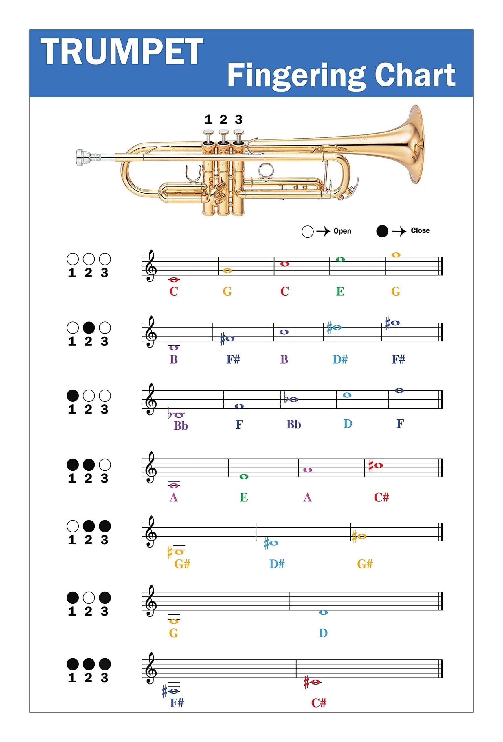 Upright Bass Fingering Chart Poster With Color Coded Notes Double Bass Chart Suitable For All Levels Walmart