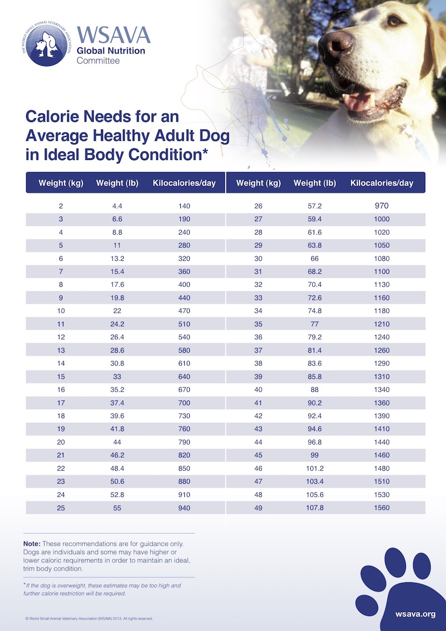 Vetcalculators Calorie Requirements Calculator