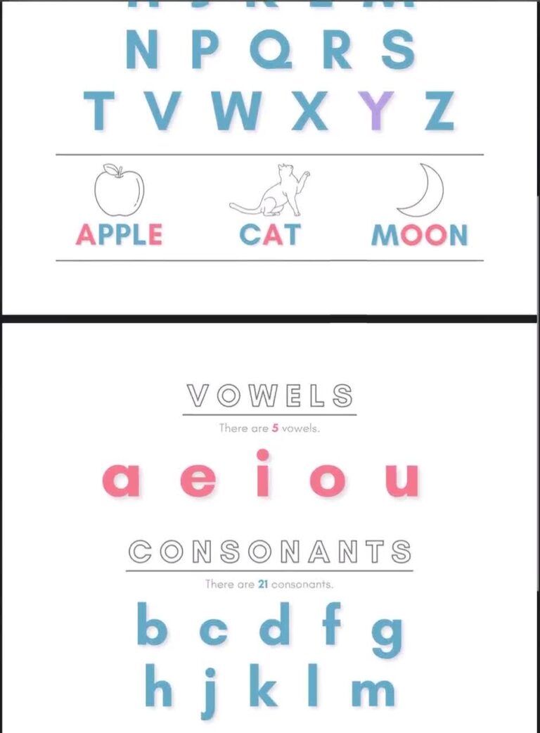 Vowels Poster Vowel Chart Consonant Chart Consonant Poster Alphabet Poster Abcs Poster Preschool Kindergarten First Grade Etsy