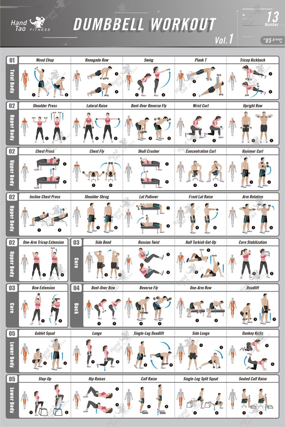 Workout Chart Muscle Groups To Workout Together Workout Poster Dumbbell Workouts For All Muscle Groups Dumbbell